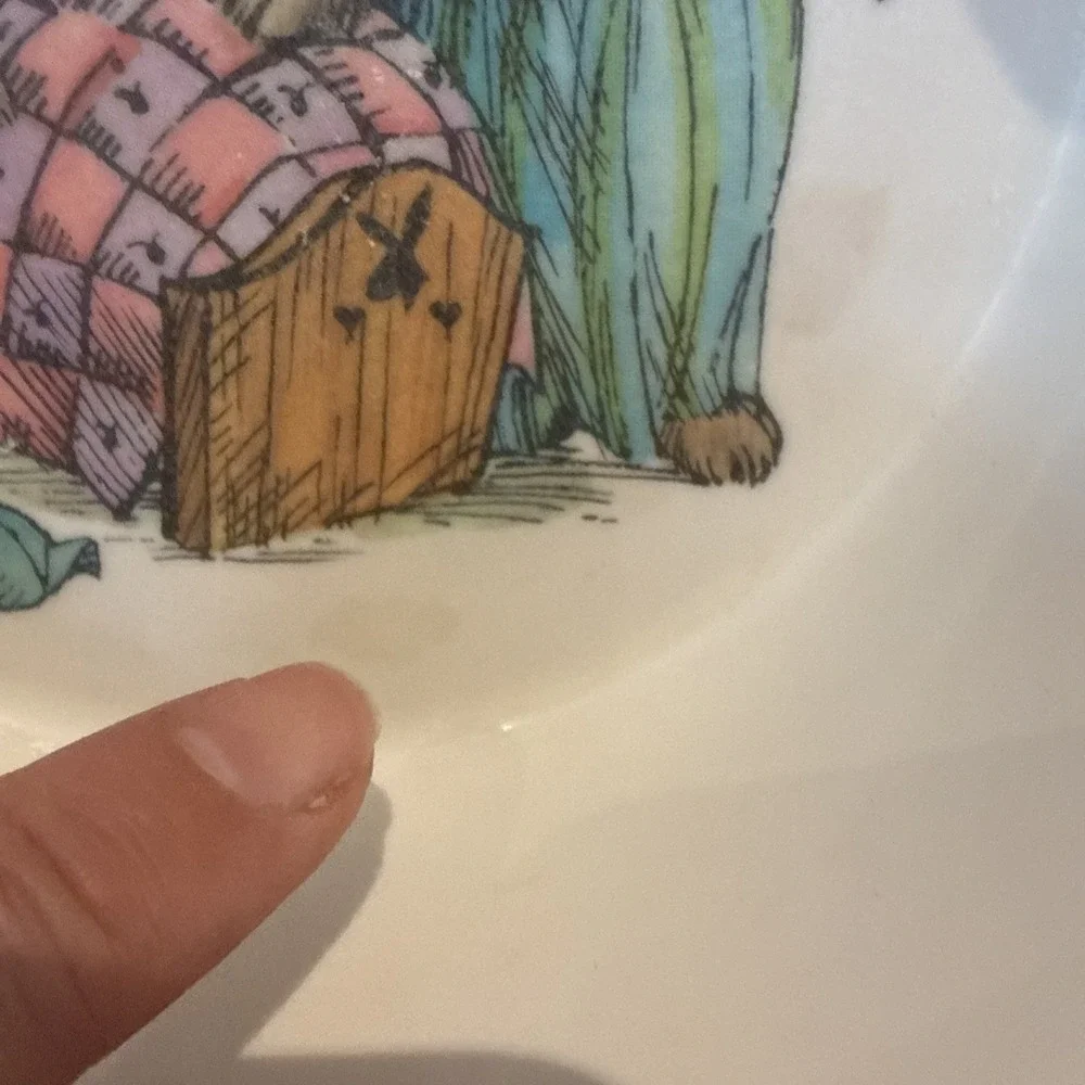 Vtg Oneida Deluxe 3243 Toddler Plastic Cereal Bowl Peter Rabbit 6.5